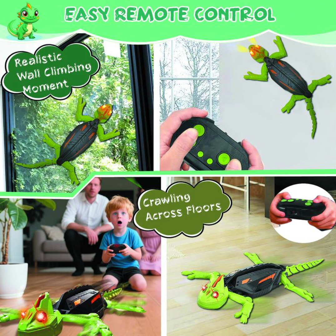 Wall Crawler Gecko
